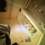 Cleaning