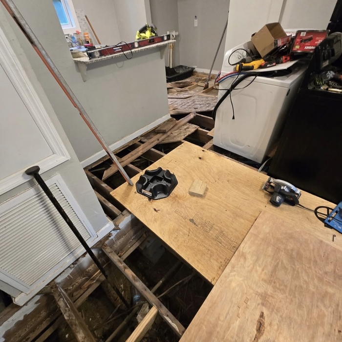 Subfloor Replacement/LVP