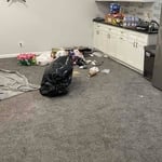 Cleanout