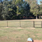 Chain Link Fence