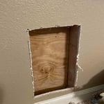 Doggie door