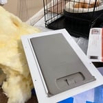 Doggie door