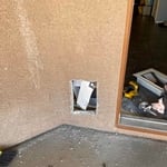 Doggie door
