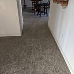 Carpet