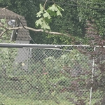 Storm Clean Up