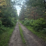 Driveway Before