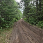 Driveway After