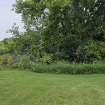 Strom Cleanup Before
