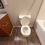 Move-out cleaning