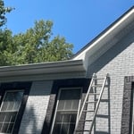 Exterior paint