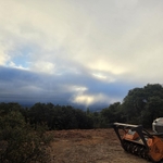 Los Gatos Forest Project