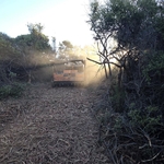 Los Gatos Forest Project