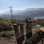 Los Gatos Forest Project