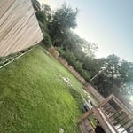 Biweekly mowing