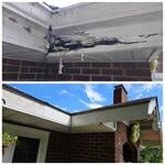 Fascia Replacement
