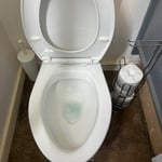 Detailed Cleaning