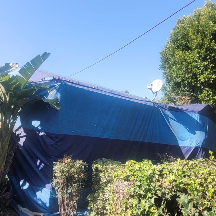 Termite Fumigation