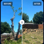 Before / After