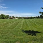 Mowing and Landscaping