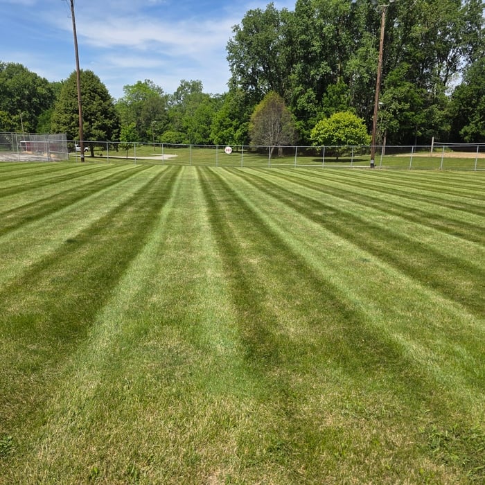 Mowing and Landscaping
