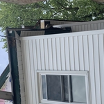 Squirrel family removal