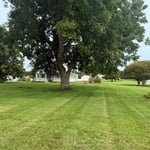 Lawn care