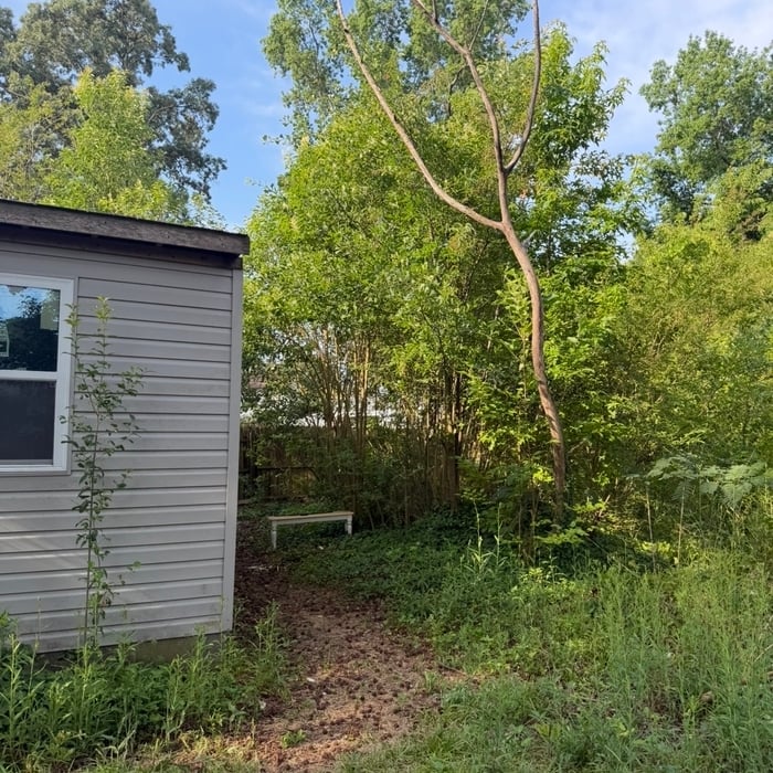 Brush clearing