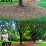 Rock design