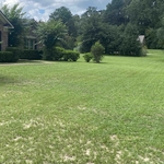 Larger size yard