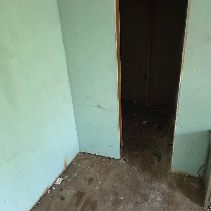 Trash/junk removal