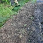 Sod Installation