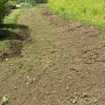 Sod Installation