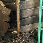 water damage repair