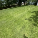 Lawn care