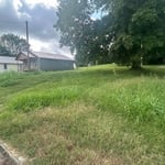 Over growing grass
