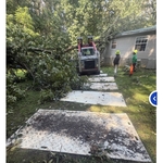 Tree removal
