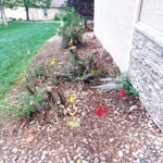 Landscape Cleanup