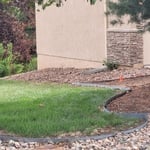 Landscape Cleanup