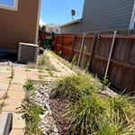 Landscape cleanup
