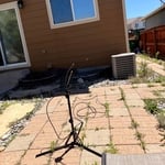 Landscape cleanup