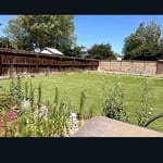 Landscape cleanup