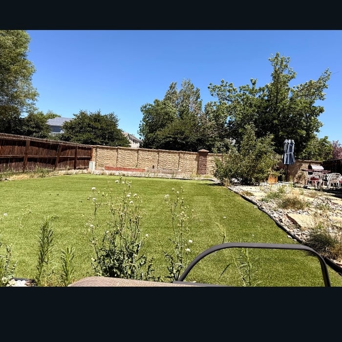 Landscape cleanup