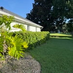 Lawn maintenance