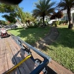 Lawn and hedges
