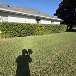 Lawn Maintenance