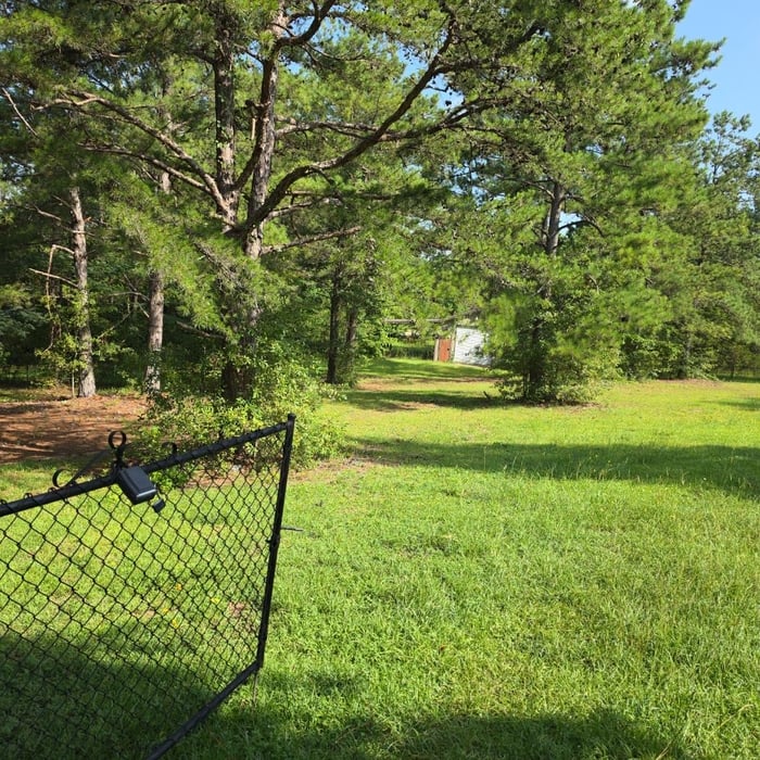 Big yard