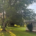 Tree trimming