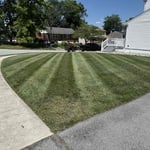 Weekly mowing