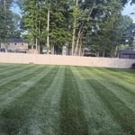 Weekly mowing