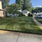 Weekly mowing